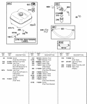 Fuel Supply Diagram and Parts List for 235432-0290-E9  Briggs and Stratton Engine
